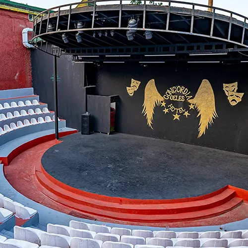 Animasyon ve Akşam Şovları